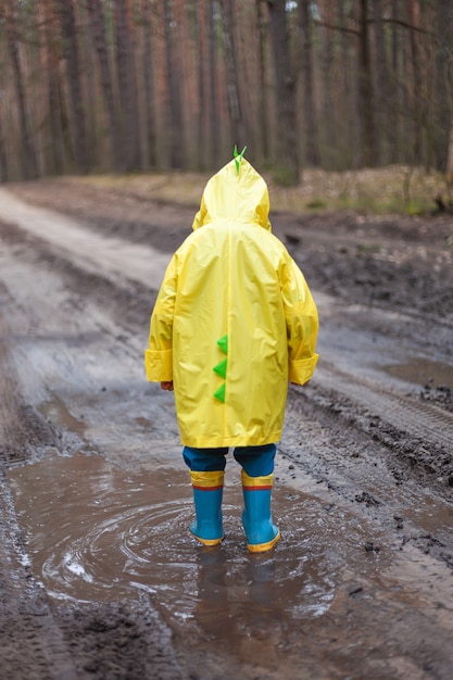 写真 ゴム長靴の水たまりを歩く黄色いレインコートを着た子供、雨上がりの森の中を歩く、背面図