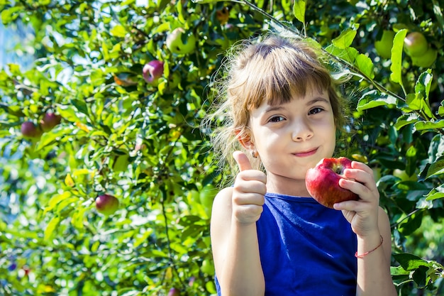 子供は庭でりんごを食べています。セレクティブフォーカス