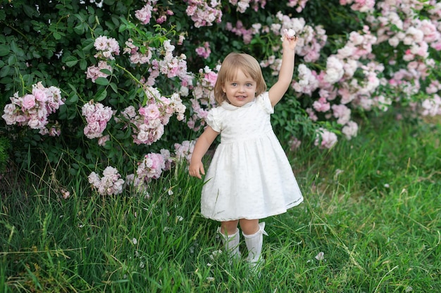 Un bambino è una ragazza con un vestito bianco su uno sfondo di cespugli di rose rosa