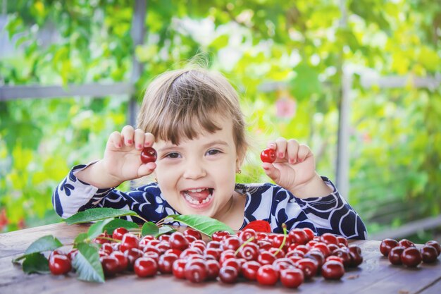 The child is picking cherries in the garden. Selective focus.