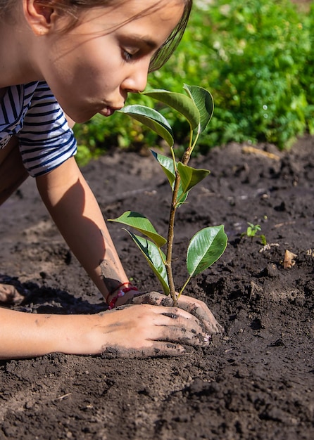 子供は庭に植物を植えています選択的な焦点