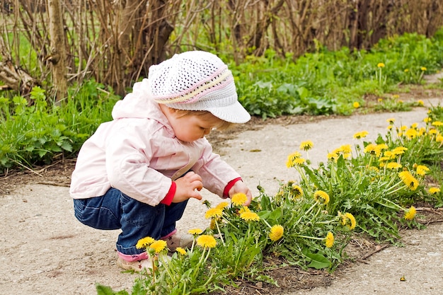 子供の子供の女の子はタンポポを取る