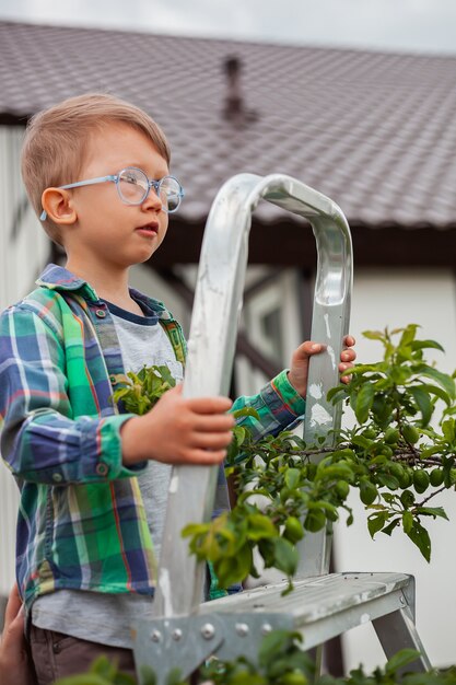 Child on ladder tree, gardening in backyard garden