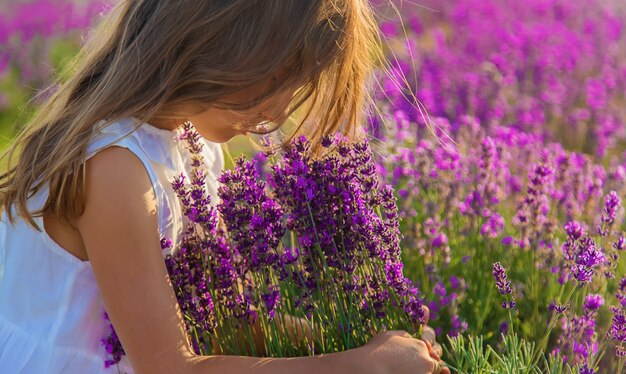 A child in a lavender field. Selective focus.