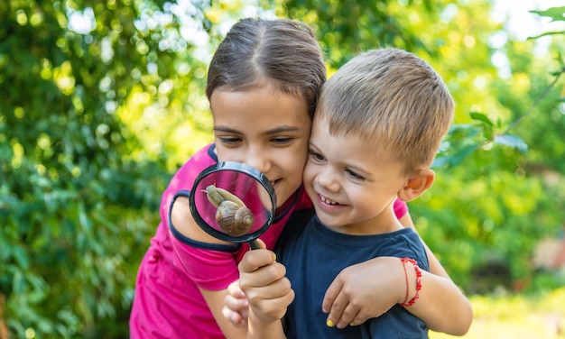 The child looks at the snail nature Selective focus Animal