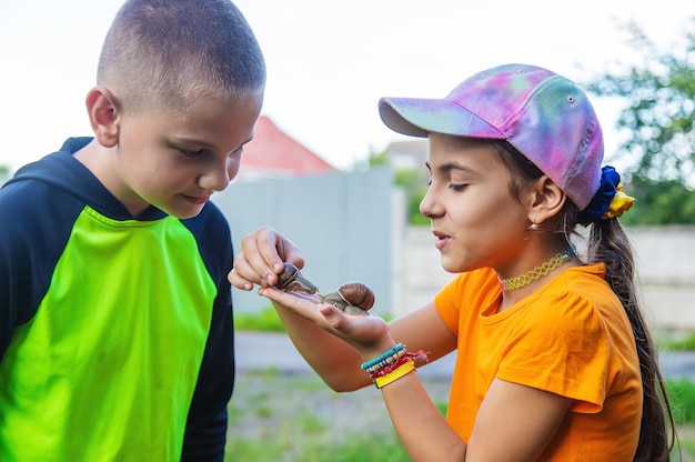 The child looks at the snail Selective focus