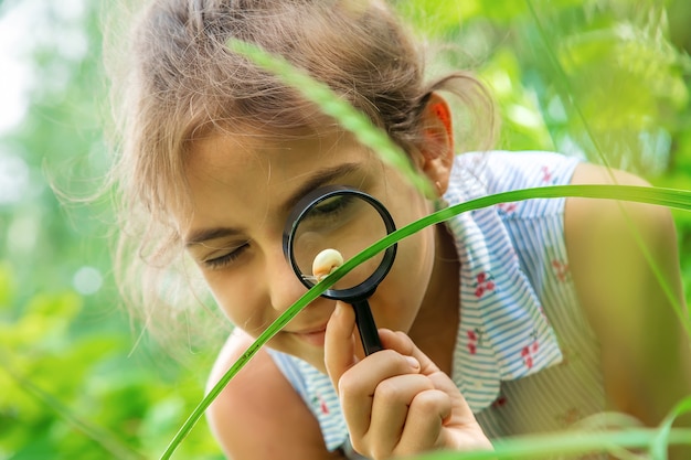 The child looks at the snail through a magnifying glass. Selective focus. Nature.