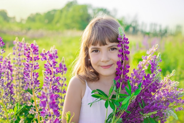 Child in a lupine field