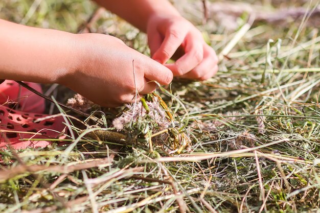 Child make craft from grass outdoors.