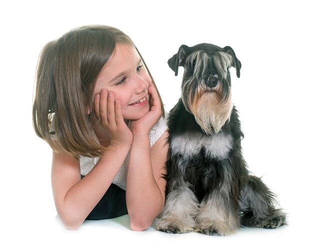 child and miniature schnauzer