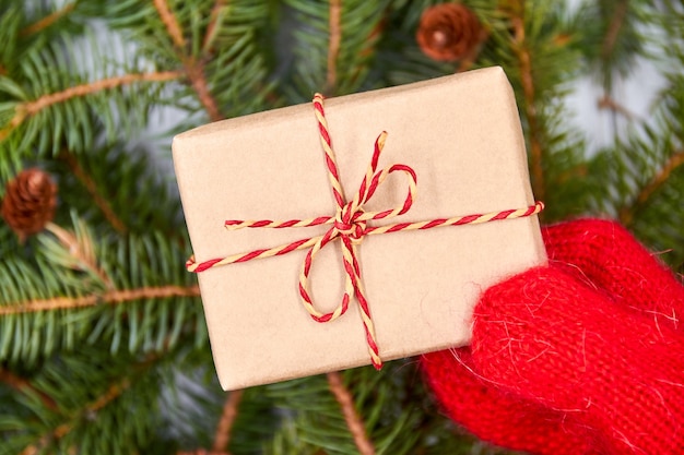 child in a mitten holds a Christmas gift box on the background of fir branches