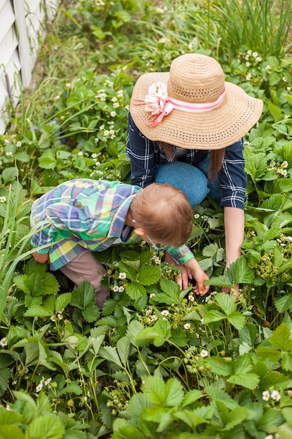 Child and mother gardening in strawberry plant garden in the backyard