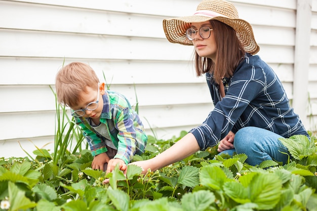 裏庭のいちご植物園でガーデニングをする子供と母親