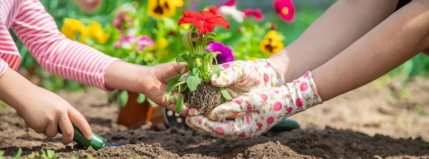 子供と母親は庭に花を植えます。セレクティブフォーカス。