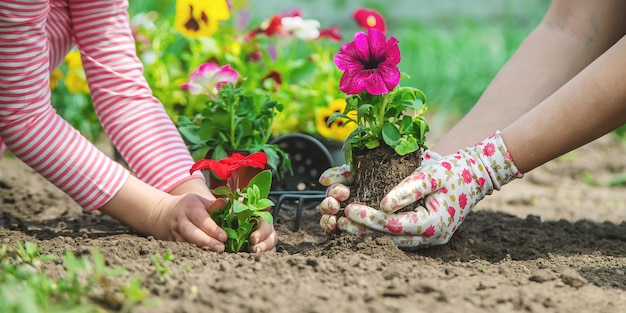 子供と母親は庭に花を植えます。セレクティブフォーカス。