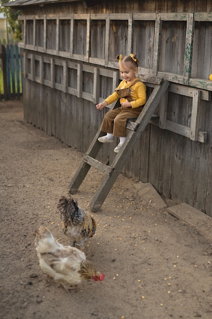 オーバーオールを着た子供が階段の高いところに座って、鶏のとうもろこしに餌をやる。農場の面白い女の子が動物の世話をします。村の鶏とオンドリ。