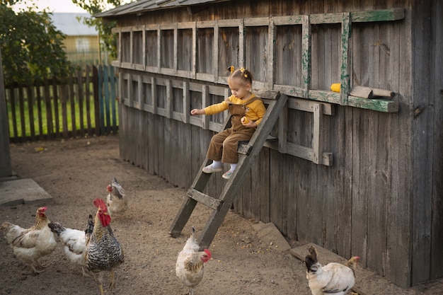 A child in overalls sits high on the stairs and feeds the chickens corn.  Funny girl on the farm takes care of the animals. Rooster with hens in the village.