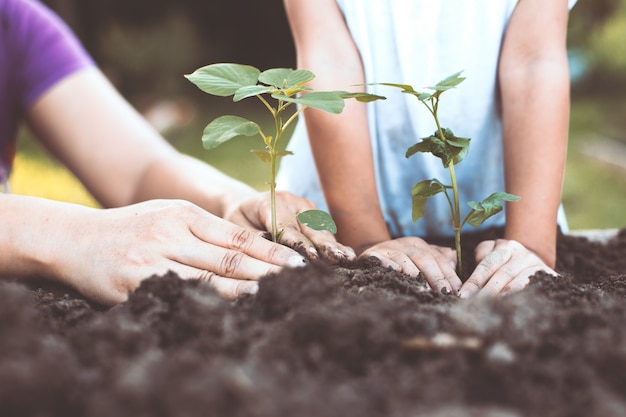 Child and parent hand planting young tree on black soil together as save world concept