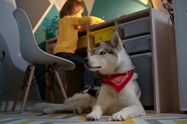 Child and pet dog together in the childrens room