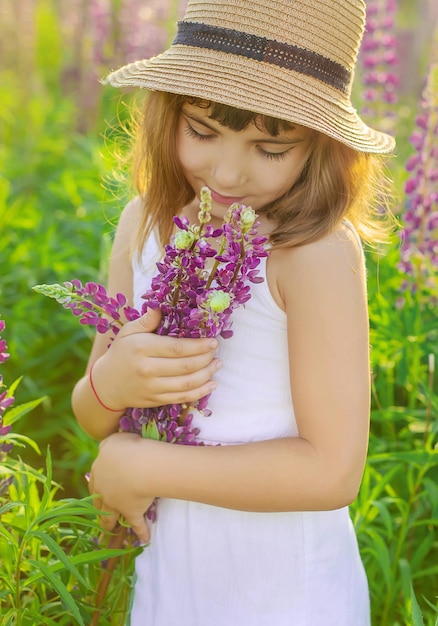 Child photo shoot in a lupine field season allergies Selective focus                                       person