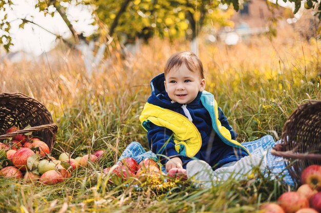 Child picking apples on farm Apple orchard fun for children Kid pick fruit in the autumn garden