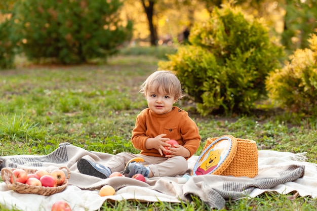 Child picking apples on a farm in autumn. Little baby boy playing in apple tree orchard. Kids pick fruit in a basket. Toddler eating fruits at fall harvest. Outdoor fun for children. Healthy nutrition