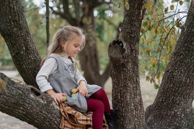 Child picking apples on farm in autumn. Little girl playing in apple tree orchard. Healthy nutrition.