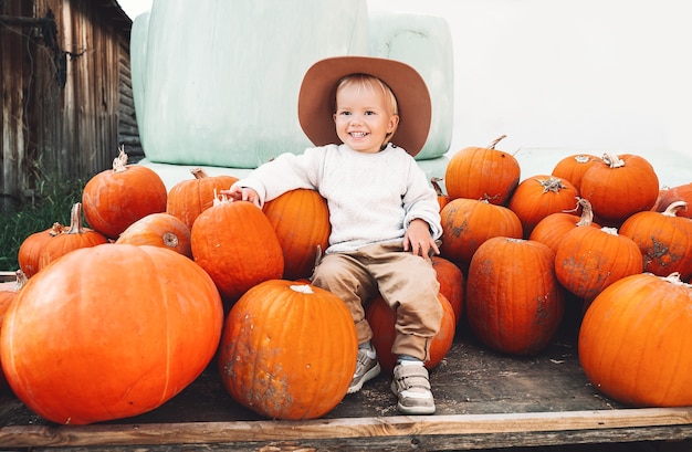 Child picking pumpkins at farm market Thanksgiving holiday season and Halloween