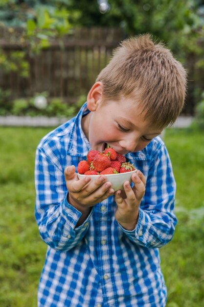 화창한 여름날 과일 농장에서 딸기를 따는 아이. 아이들은 신선하고 잘 익은 유기농 딸기를 손에 들고 있습니다.