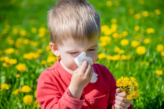 Child picks and sniffs flowers spring allergy