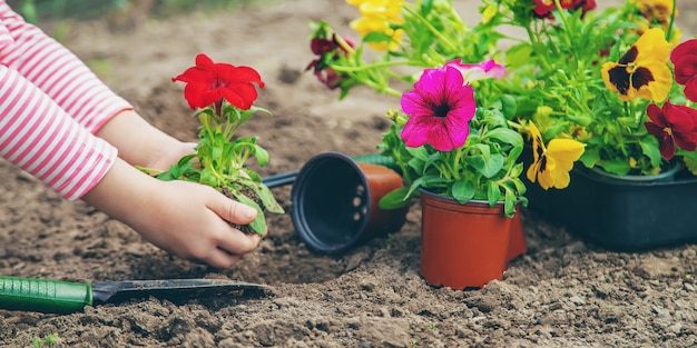 子供がフラワーガーデンを植えます。セレクティブフォーカス。