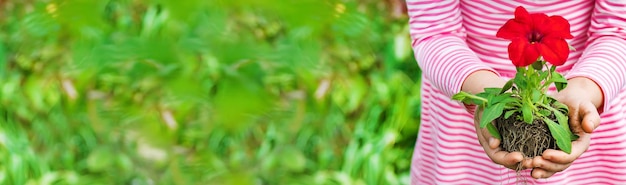 A child plants a flower garden Selective focus