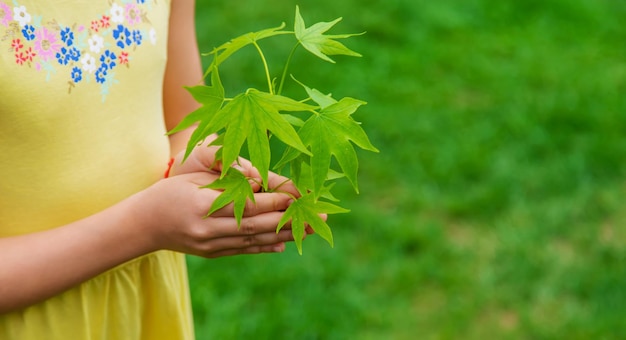 子供が庭に植物を植える選択的な焦点