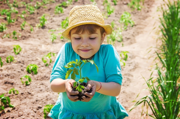 A child plants a plant in the garden. Selective focus.