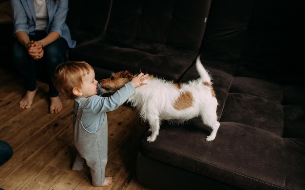 Casa d'amore della famiglia dell'animale domestico del cane del gioco del bambino