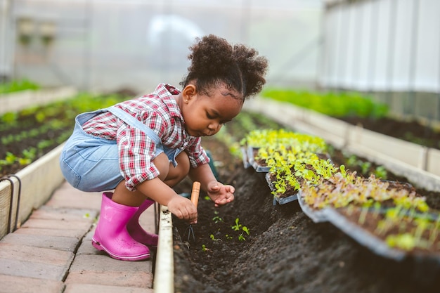 Child play planting the green tree in the garden