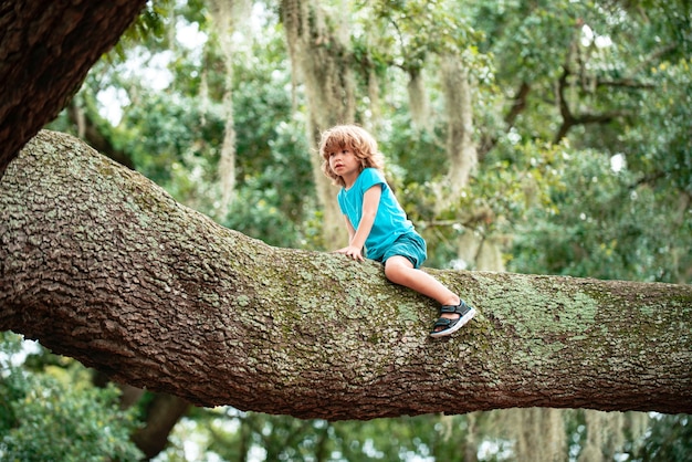 Child playing in a park climbing a tree. Childhood in the village.