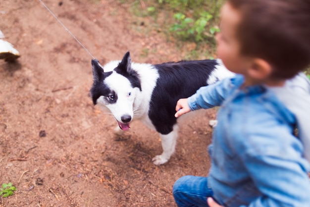 森の中を走っている犬と遊ぶ子供
