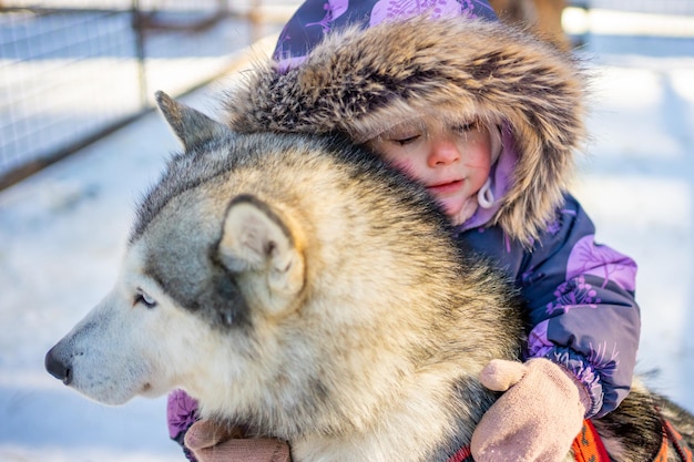 ケメロヴォシベリアロシアの近くの犬の農場でハスキー犬と遊ぶ子供