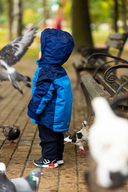 Bambino che gioca con i piccioni nel parco