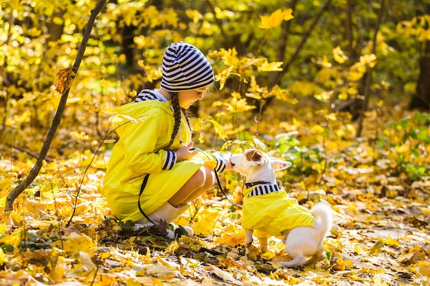 Child plays with Jack Russell Terrier in autumn forest