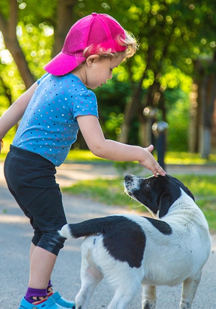 子供が公園で小さな犬と遊ぶ選択と集中