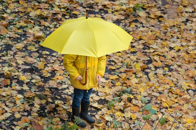 Child in the rain park under large yellow umbrella on fallen leaves background. Top view.