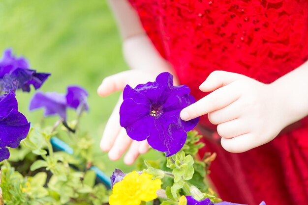 A child in a red dress is touching a flower.