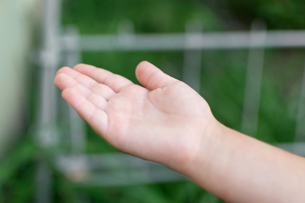 A child's hand catches a drop of water