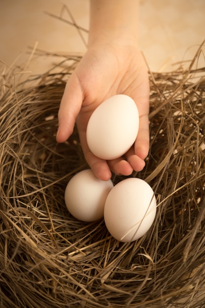 Child's hand picking white egg from the nest