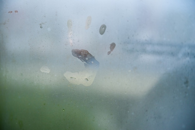 Foto stampa della mano del bambino su una finestra piena di vapore