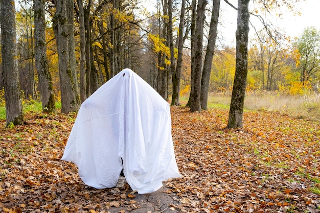 A child in sheets with cutout for eyes like a ghost costume in an autumn forest scares and terrifies A kind little funny ghost Halloween Party