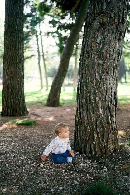 Child sits on the ground near a large tree in the park