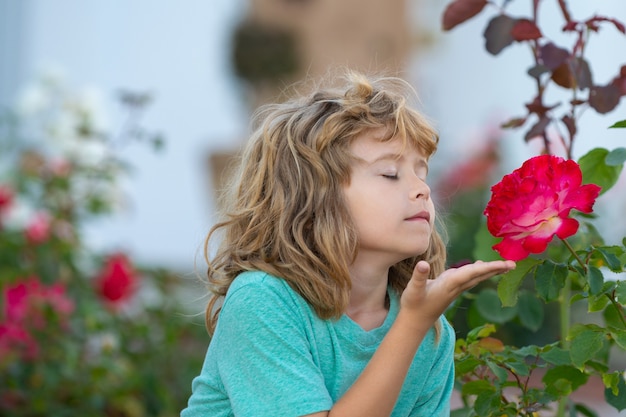 Child smelling flower. Kids funny face. Cute kid enjoy natural environment through outdoor activity like play, touch and smell rose.